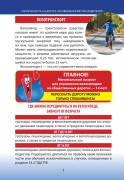 Памятка родителям по ДДП