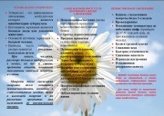 Профилактика туберкулёза