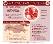 Инфографика по вопросам заболеваемости системы крови