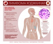 Инфографика по вопросам заболеваемости системы крови