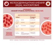 Инфографика по вопросам заболеваемости системы крови