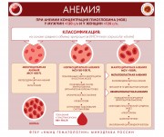 Инфографика по вопросам заболеваемости системы крови