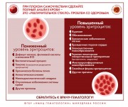 Инфографика по вопросам заболеваемости системы крови