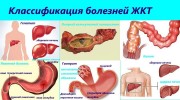 Профилактика заболеваний ЖКТ